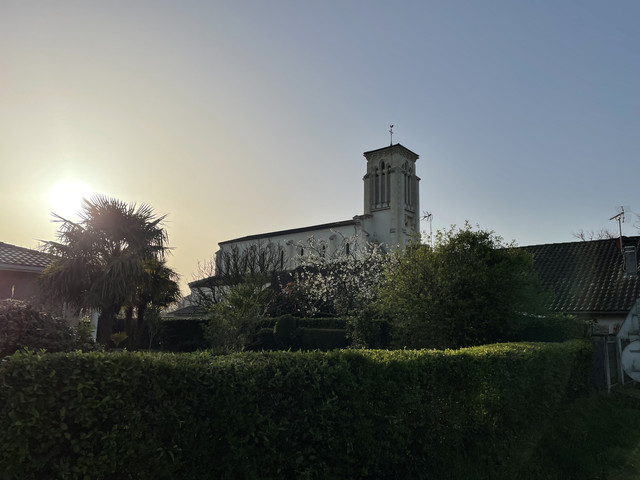 IMG-7535