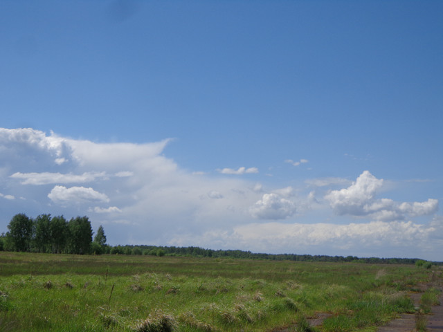 DSC00640.jpg
