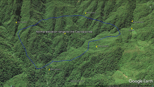 Map-overview-1