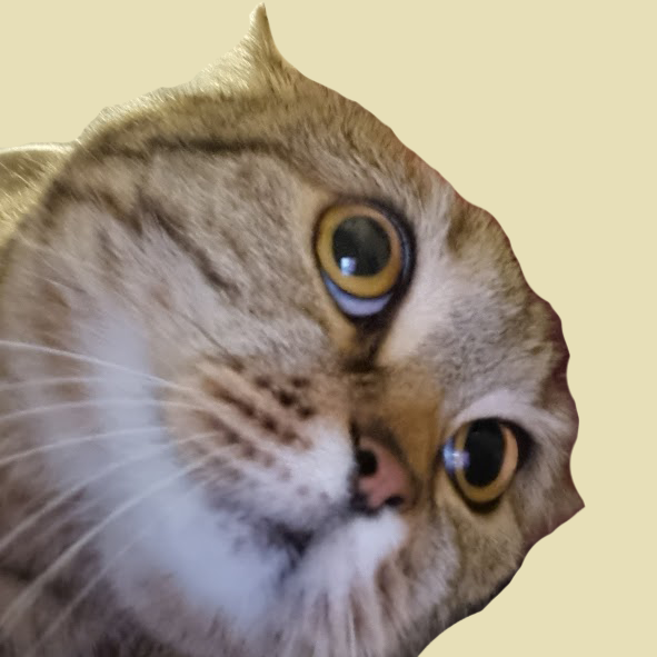 Rare Gold Catty 