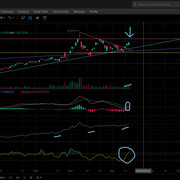 USO-DAILY