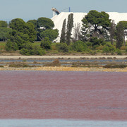 IMG-2360