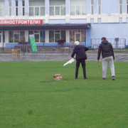 DSC00995