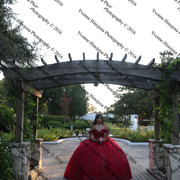 IMG 2655