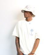 IMG 0627