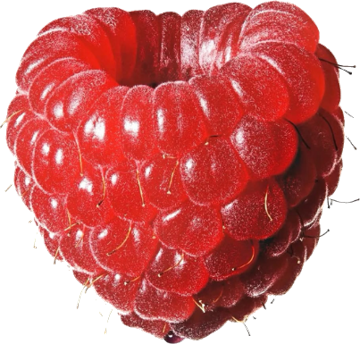 Raspberries