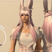 Viera