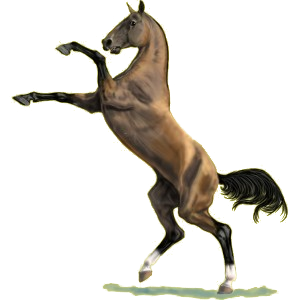 1009731-normal.png