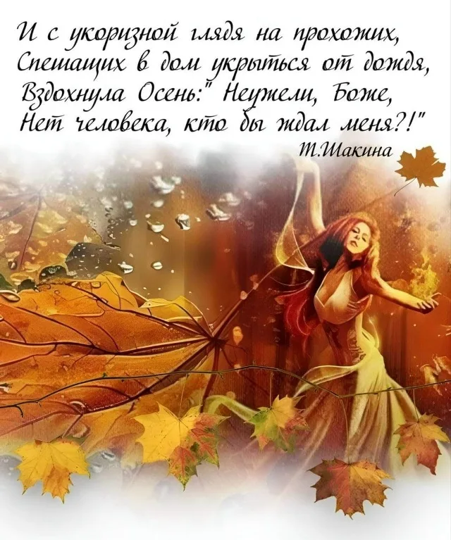 https://i.ibb.co/ZR4p3cdc/IMG-5635.webp