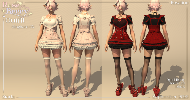 Outfit gingham on.png
