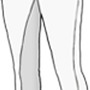 housu1 10