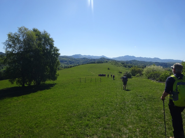 DSC04823.jpg
