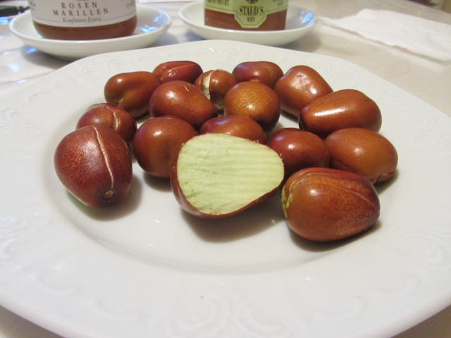 IMG-8837