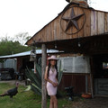 IMG 7384