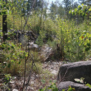 IMG 0463