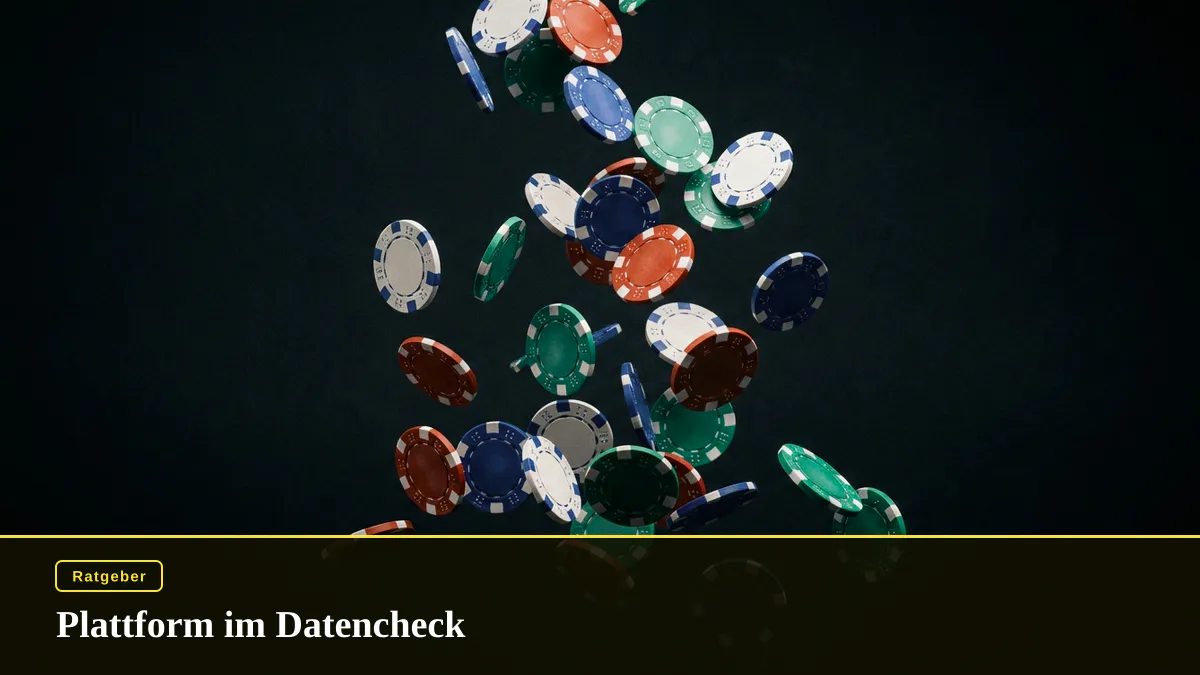 Plattform im Datencheck
