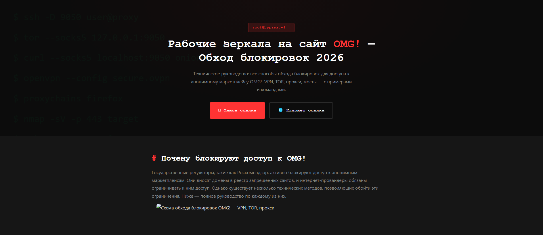 Forensic screenshot of omg-zerkalo.icu showing the phishing page layout