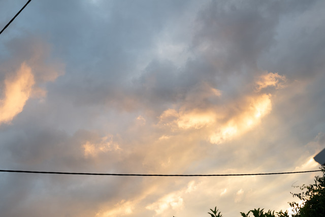 L1030803