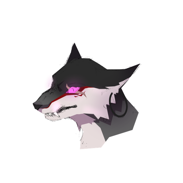 IMG 2941.png