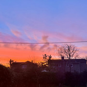 IMG 4627