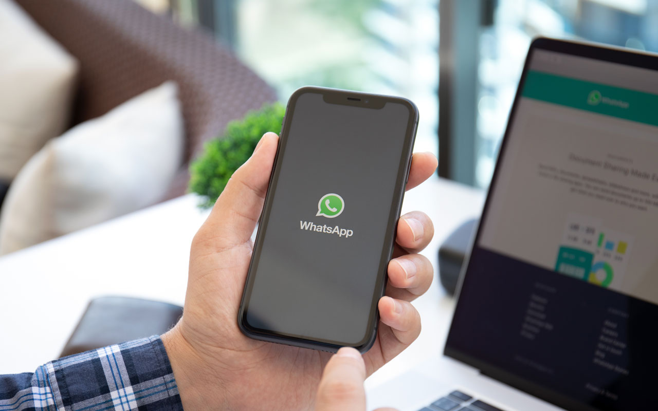 WhatsApp de suporte