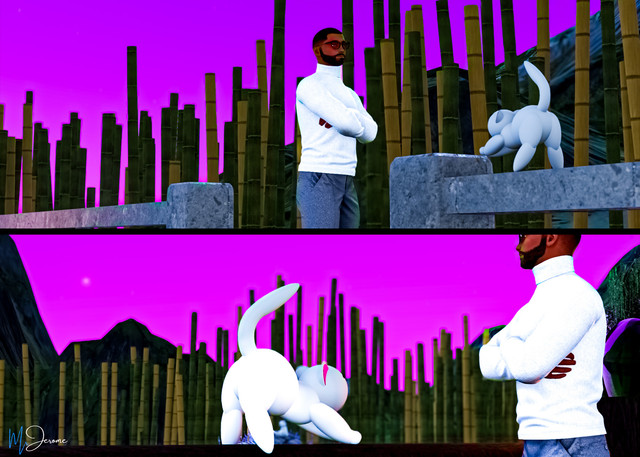 Kitty 1.jpg