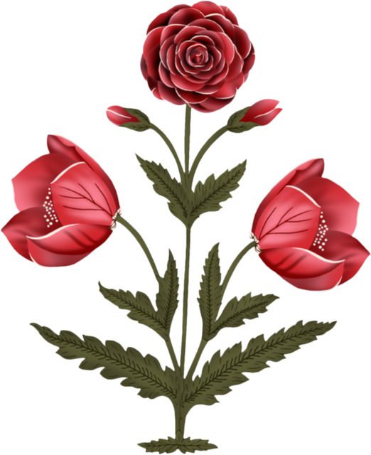 2e2d8b7cd9e2d3b3126e40afd2c98ae1.png