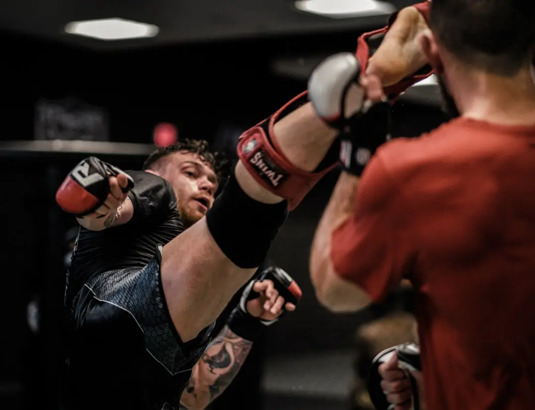 MMA Rankings Shift After Weekend Bouts