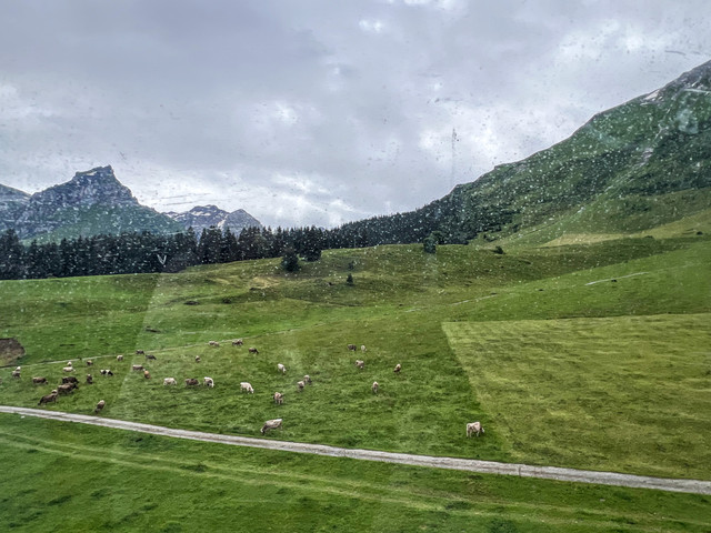 IMG-5020