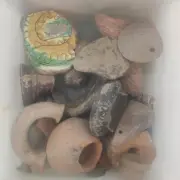 ARXAIOKAPHLOI4
