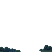bg03