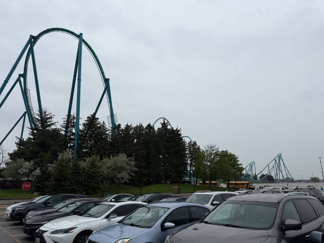 IMG 7019.jpg