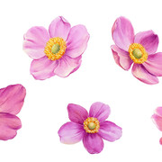 shutterstock 1664230510