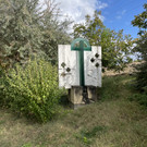IMG 0349