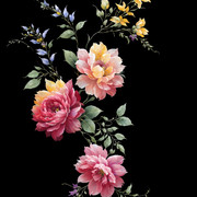 shutterstock 2390179385