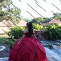 IMG 1350