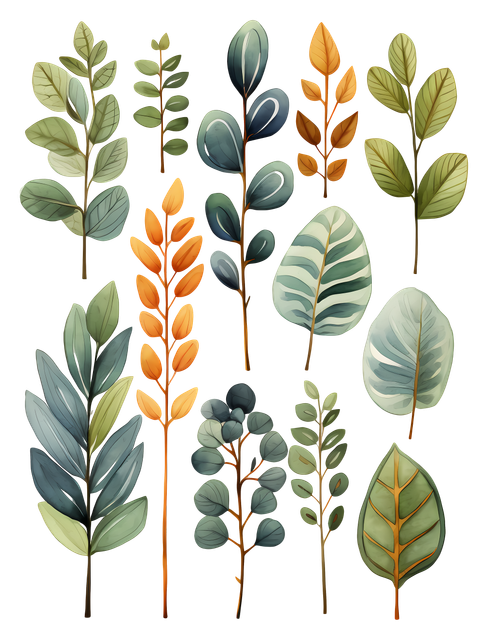 a4d15eb85e3362b1824fa06670d81534.png