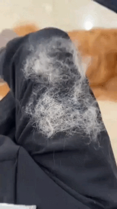 Pelos removidos con guante quitapelos