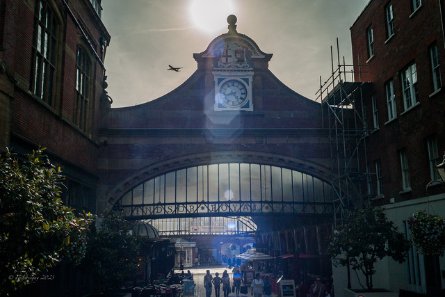 L1013650.jpg