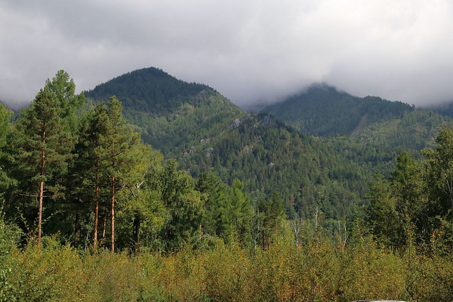 IMG 0454.jpg