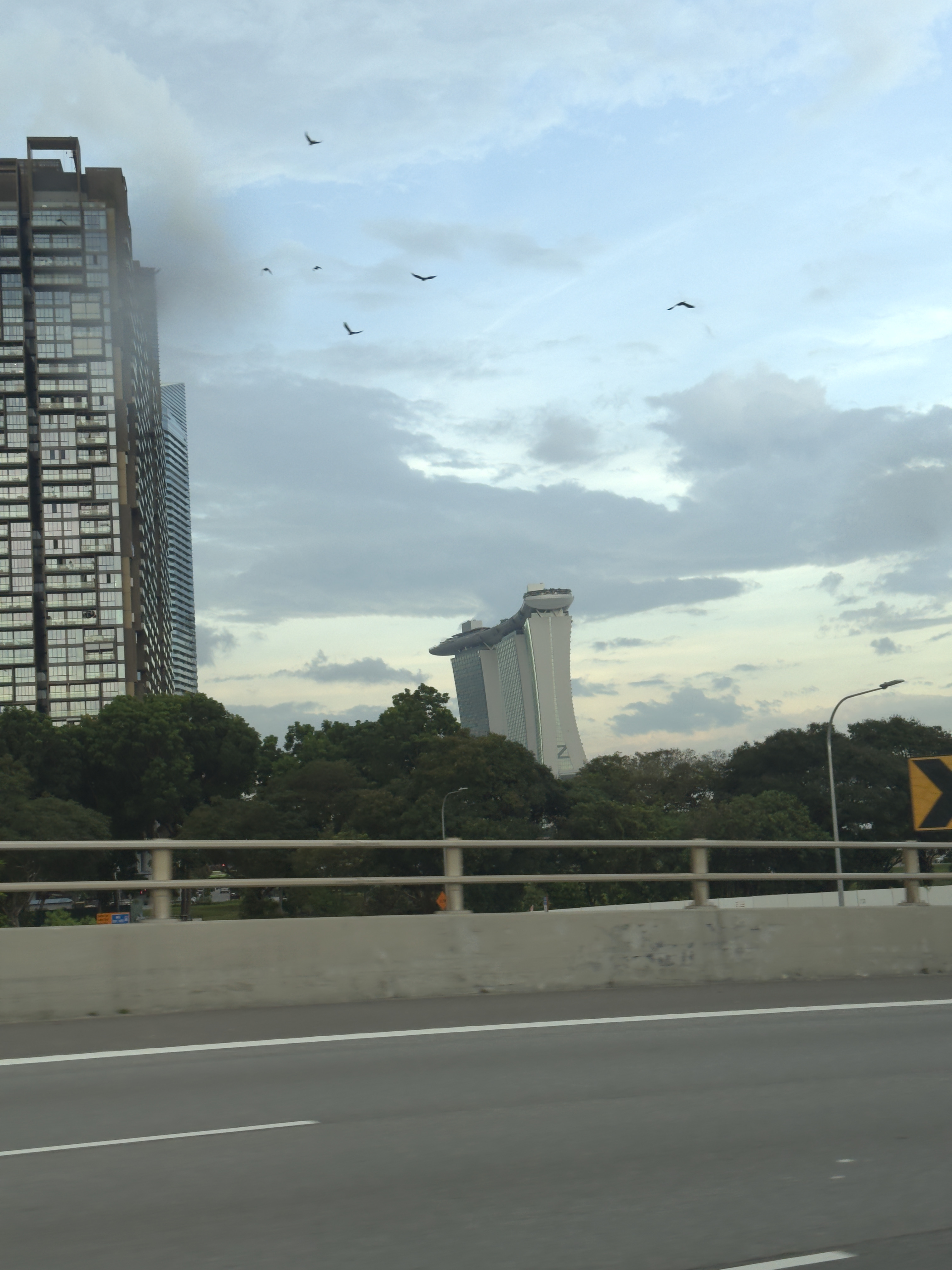 IMG-9276.jpg