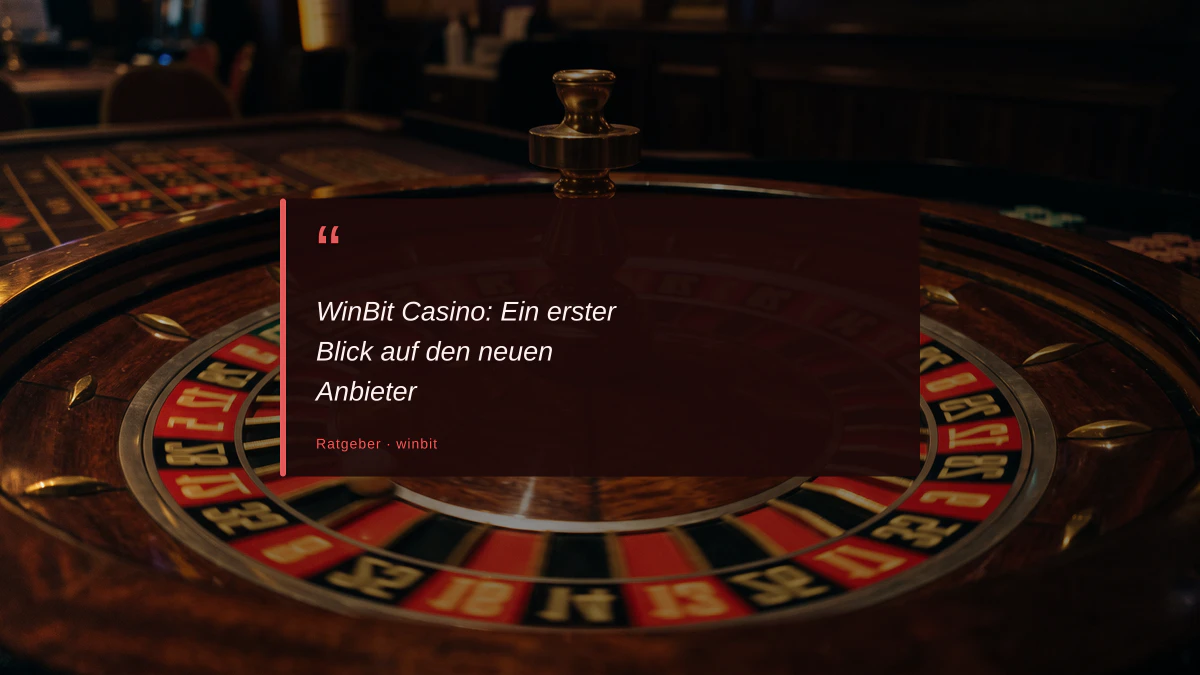 WinBit Casino: Ein erster Blick auf den neuen Anbieter