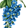 Digital Flower 038