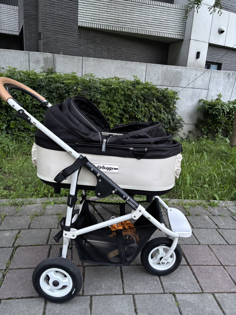 IMG 2186