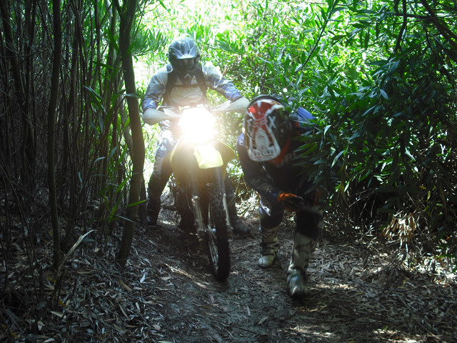 DSCF4536.jpg