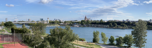 IMG-8933