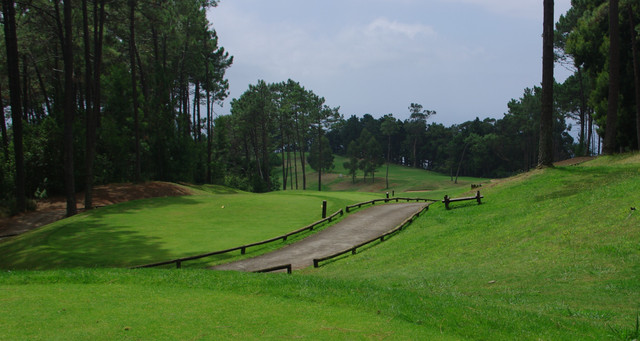IMGP0723.jpg