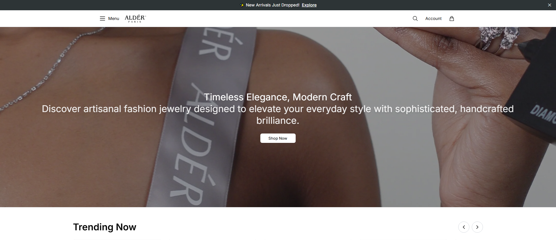 Stored capture of alderjewellersco.shop