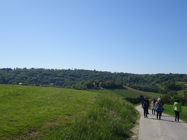 DSC04796.jpg