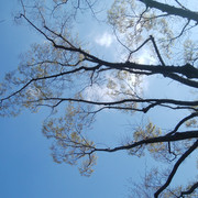 DSC-0183